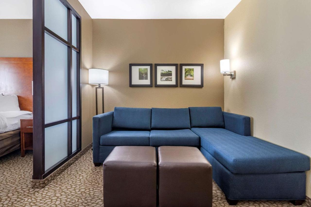 Comfort Suites Florence I-95 Dış mekan fotoğraf